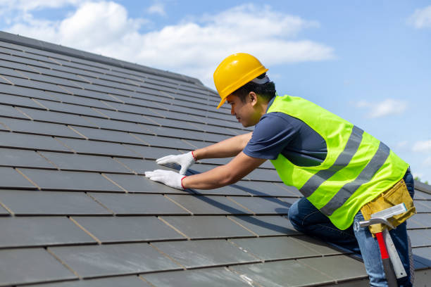 Best Roof Maintenance and Cleaning  in Rogers City, MI