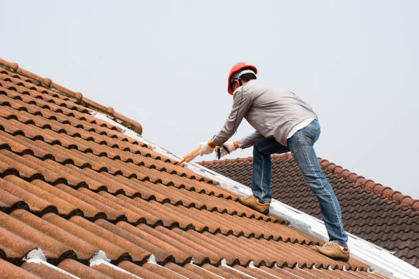 Best Asphalt Shingle Roofing  in Rogers City, MI