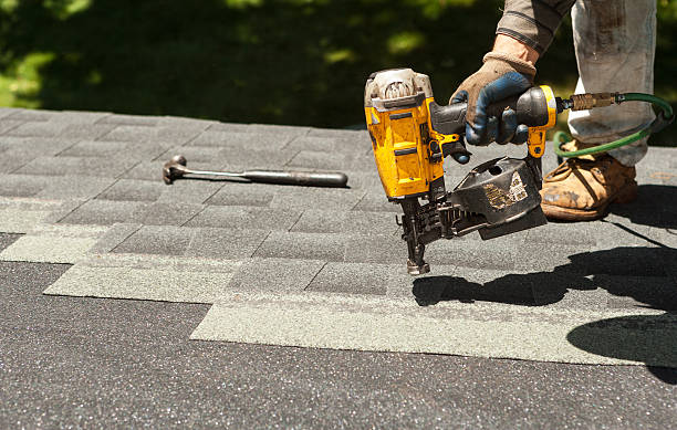Best Roof Moss and Algae Removal  in Rogers City, MI
